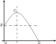 作业宝