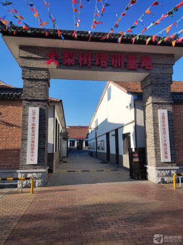 大梨树培训基地