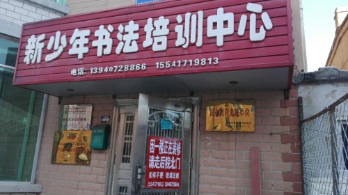 新少年书法培训
