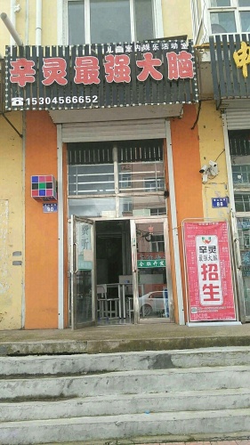 辛灵最强大脑