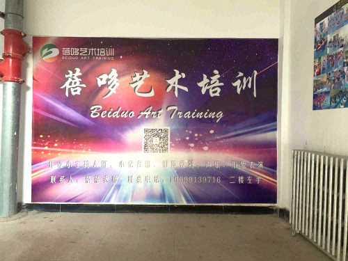 蓓哆文化艺术培训有限公司