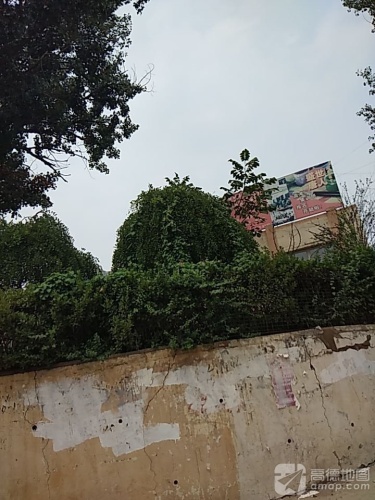 唐人美术