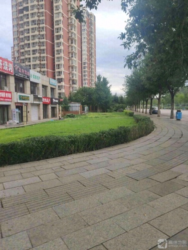 鑫鱼舞蹈(阳光四季城店)