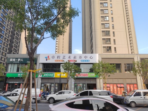 卓程艺术素养中心