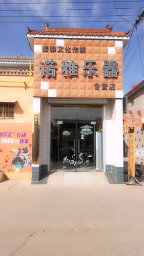 万荣县诺雅艺术培训学校