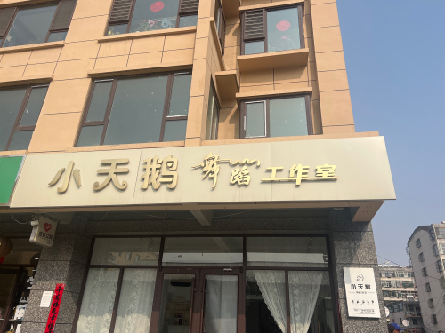 小天鹅舞蹈工作室