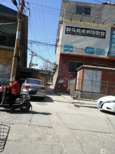 醉马美术书法教育