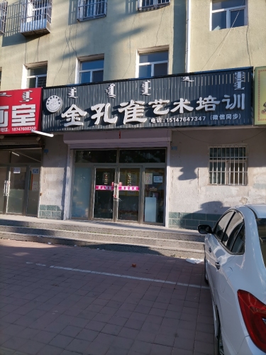 金孔雀艺术培训