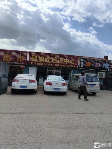 舞加武艺术培训中心