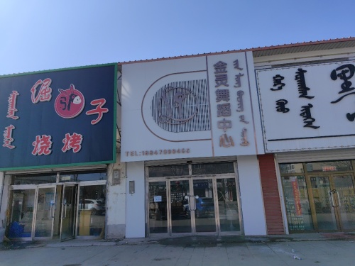 金灵舞蹈中心