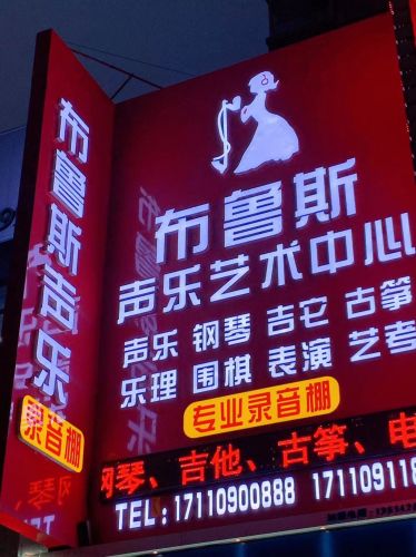 布鲁斯声乐艺术中心