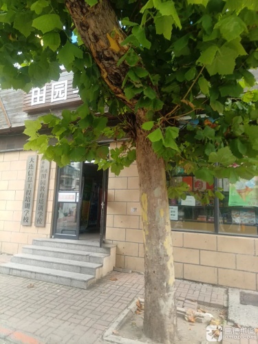 大连金普新区田园教育培训学校