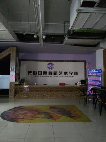博傲国际舞蹈艺术学校(大商新玛特台安街店)
