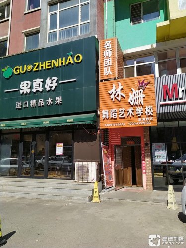 林姗舞蹈艺术学校(新湖校区)