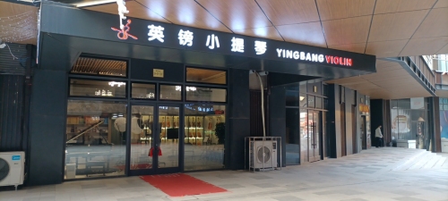 英镑小提琴