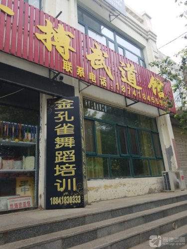 金孔雀舞蹈培训