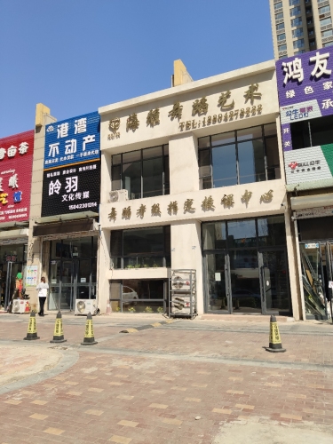 海雅舞蹈艺术
