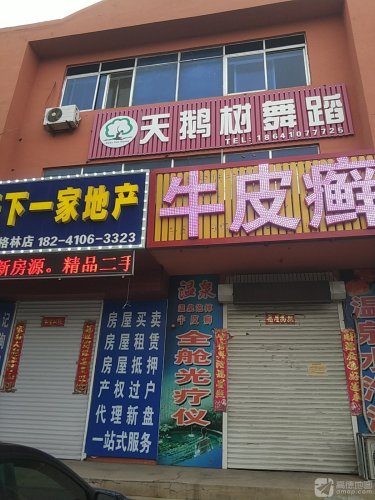 天鹅树舞蹈培训中心