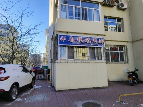 洋春硬笔书法