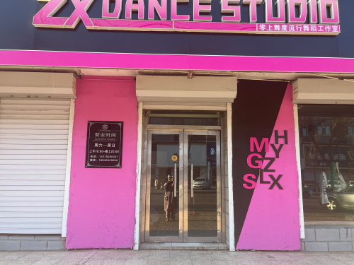 ZX DANCE零上舞度流行舞蹈