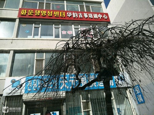 华韵古筝培训中心