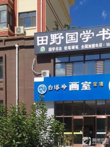 田野国学书法