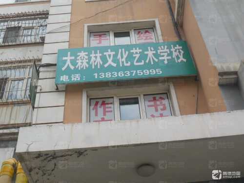 大森林文化艺术学校