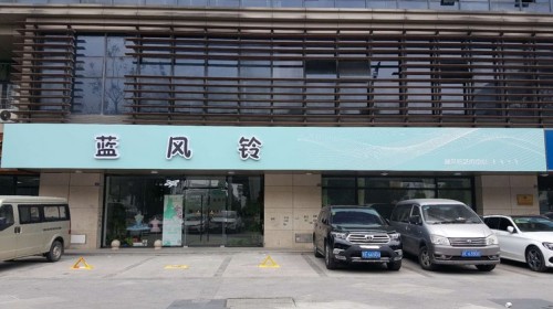蓝风铃艺术培训