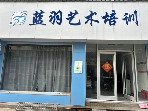蓝羽艺术培训