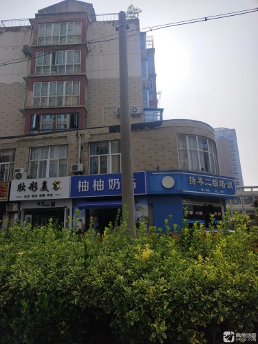 扬琴二胡培训