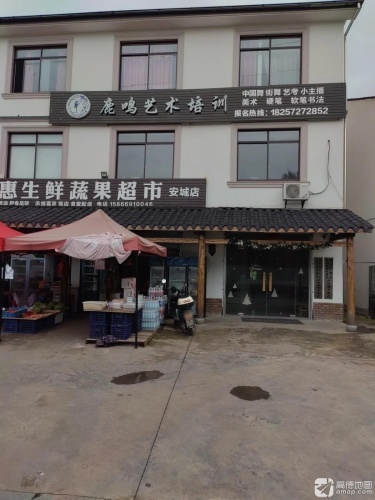 鹿鸣艺术培训