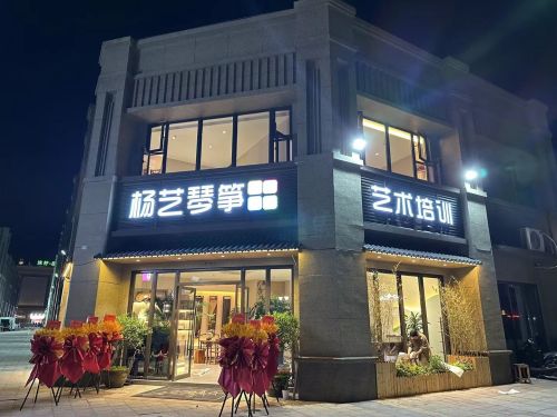 杨艺琴筝艺术培训