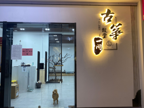 一间古筝教室