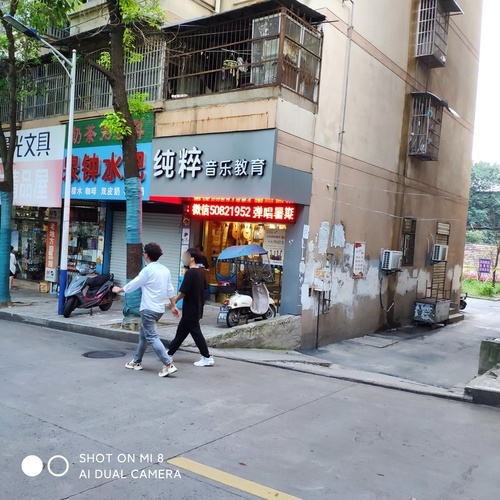纯粹音乐教育