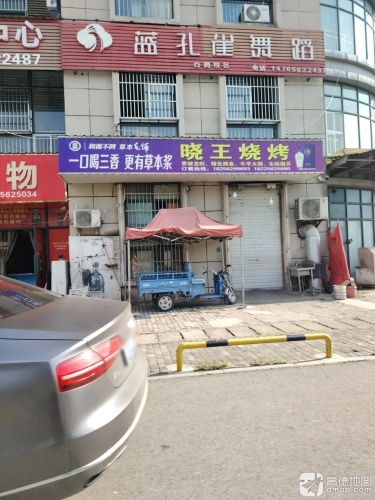 蓝孔雀舞蹈