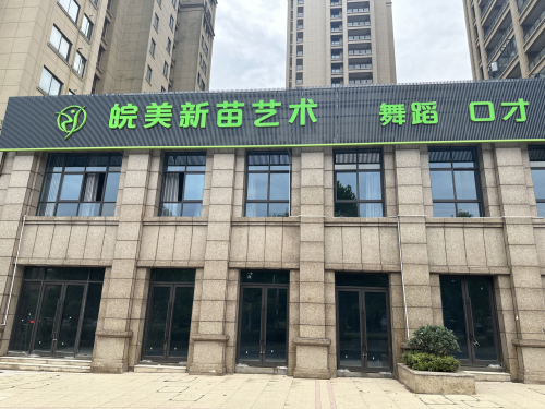 皖英新苗艺术