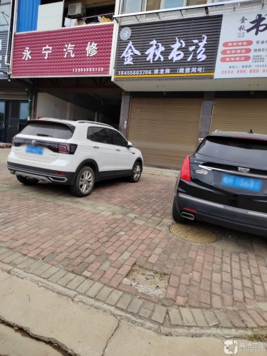 金秋书法