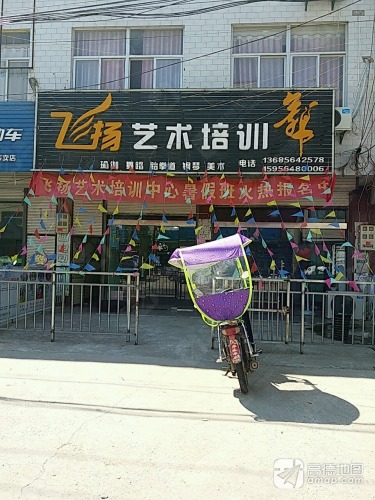 飞扬艺术培训