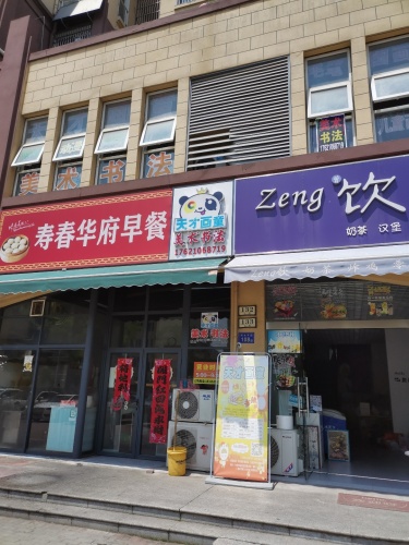 天才画童美术书法