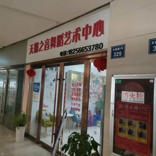 天籁之音舞蹈艺术中心