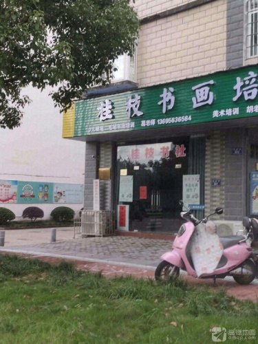 桂枝书画培训