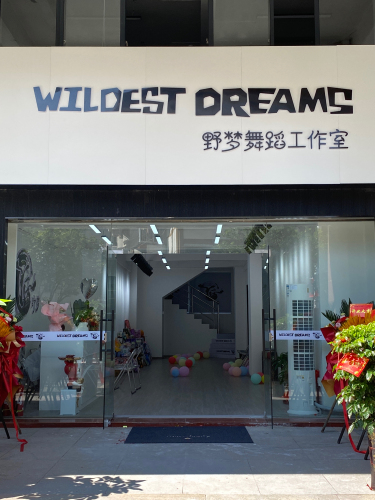 WILDEST DREAMS(野梦舞蹈工作室)