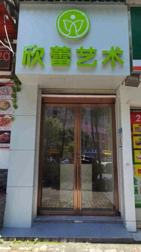 欣蕾艺术