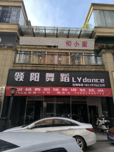 领阳舞蹈