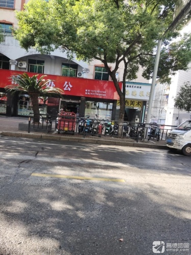 海鸥琴行悠悠虫艺术培训