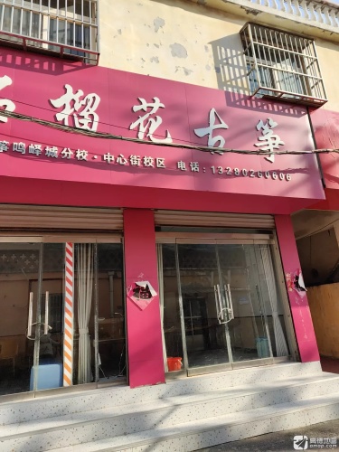 石榴花古筝(中心街校区)