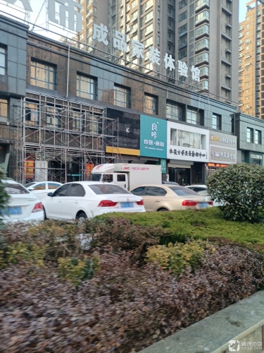 朱霞古筝箜篌艺术中心