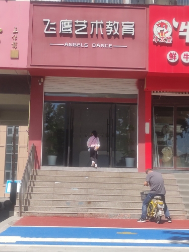 飞鹰艺术教育