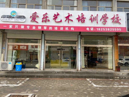 东平县爱乐艺术培训学校有限公司