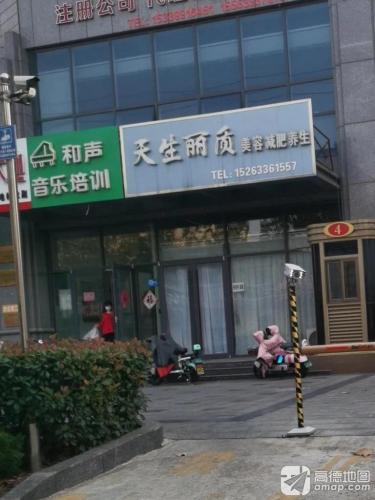 和声音乐培训